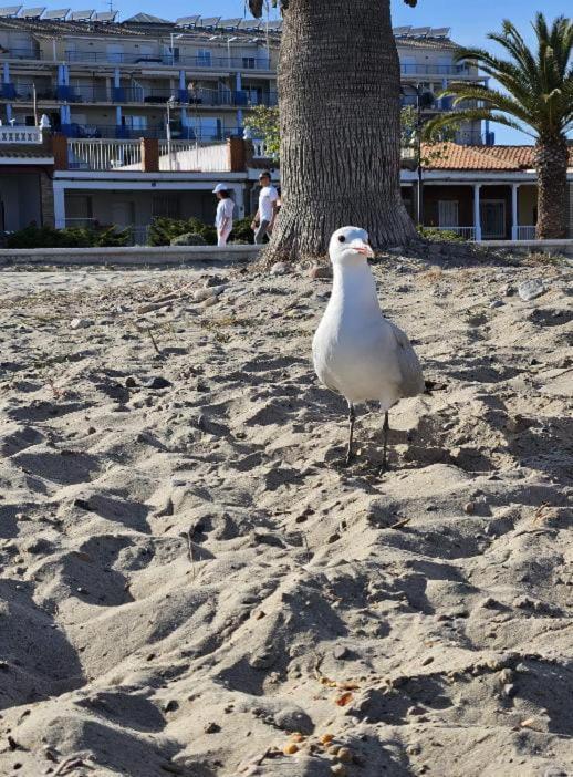 Apartament Habitacion En Piso Compartido Cerca De Playa Chilches Zewnętrze zdjęcie